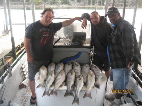 Nice Striped Bass